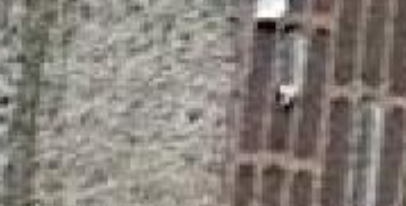 Vergelijking-Google maps