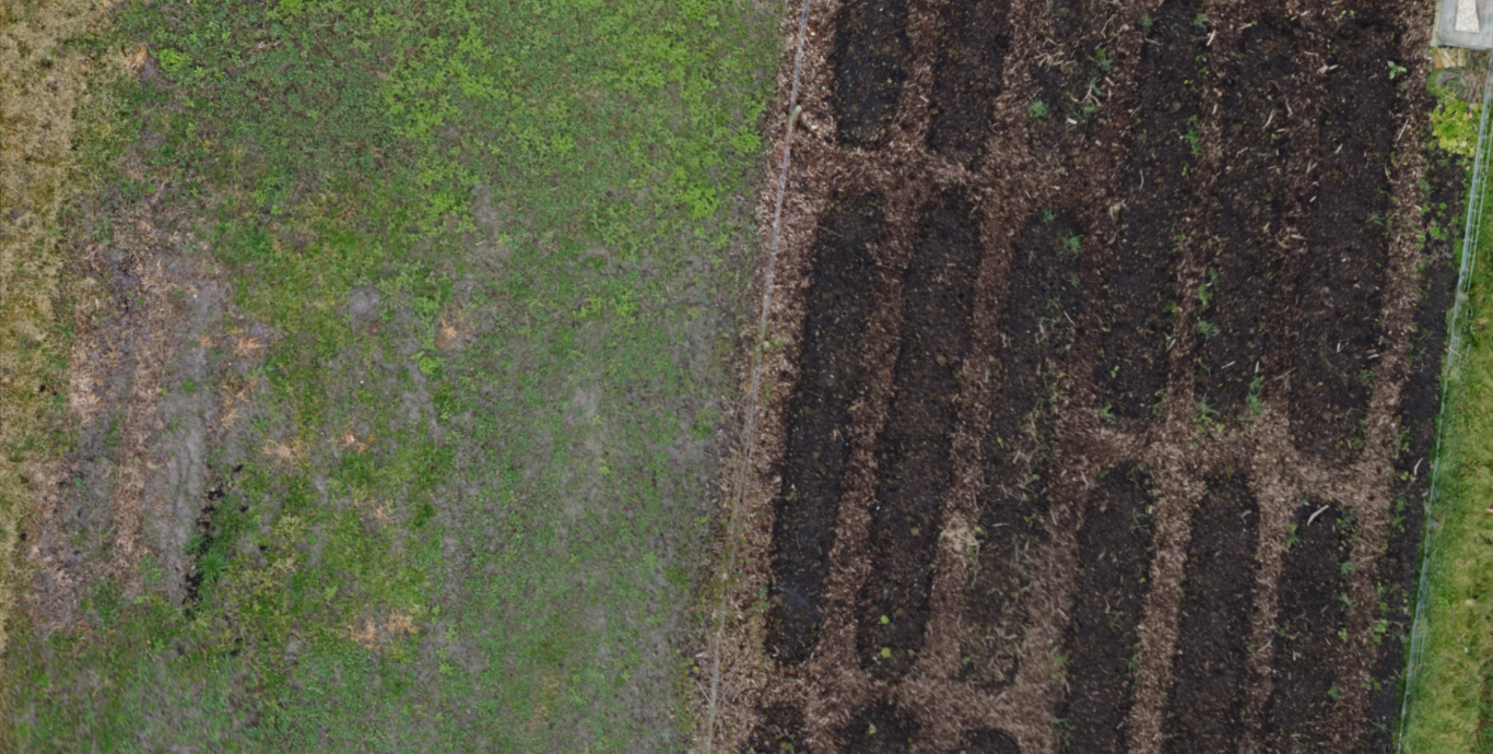 Vergelijking-Westra Mapping